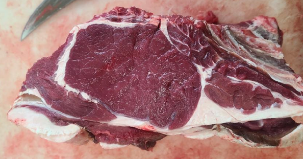 Fermented Forage Bison Steak