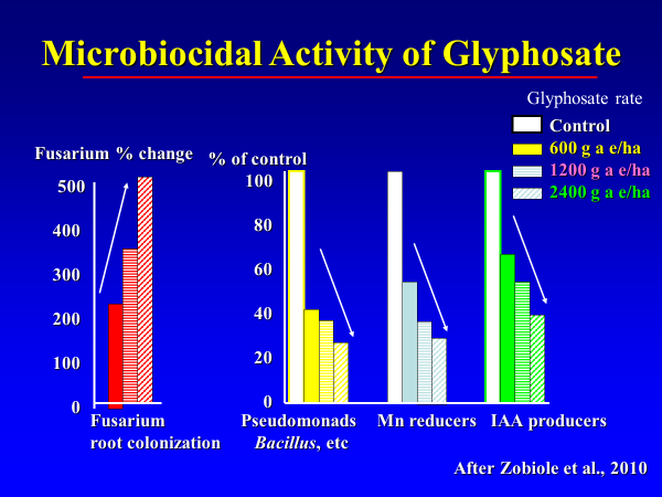 glyphosate biocidal properties